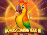 Bonus Guaranteed 81