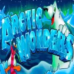 Arctic Wonders
