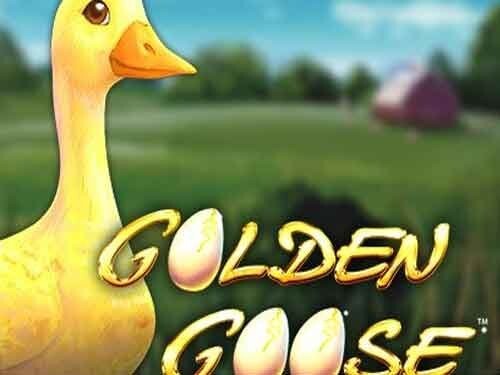 Golden Goose