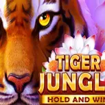 Tiger Jungle