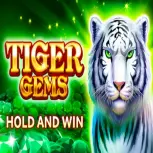 Tiger Gems
