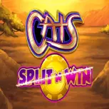 Cats Split 'n' Win