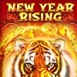 New Year Rising 