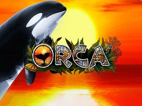 Orca